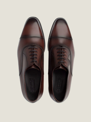 Zapato Bhora Marrón Bruñido